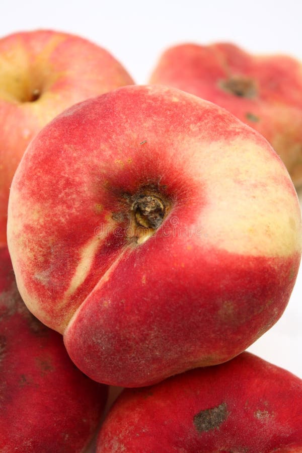 A descendant of the flat peaches of China. Up to 3 1/2 inches in diameter, it is flat, round, and drawn in at the center. The pit (free-stone variety) is about the size of a pistachio nut. The flesh is white. Sweet peach flavor; very juicy. A descendant of the flat peaches of China. Up to 3 1/2 inches in diameter, it is flat, round, and drawn in at the center. The pit (free-stone variety) is about the size of a pistachio nut. The flesh is white. Sweet peach flavor; very juicy.