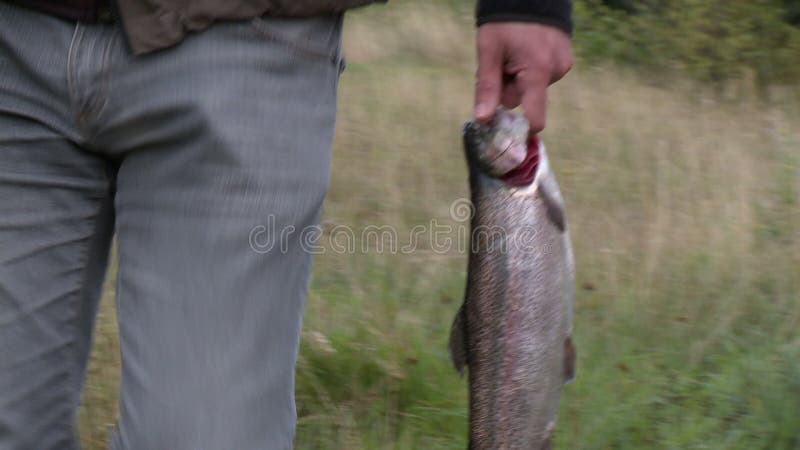 Pesca di pesce a mano proveniente dallo stagno