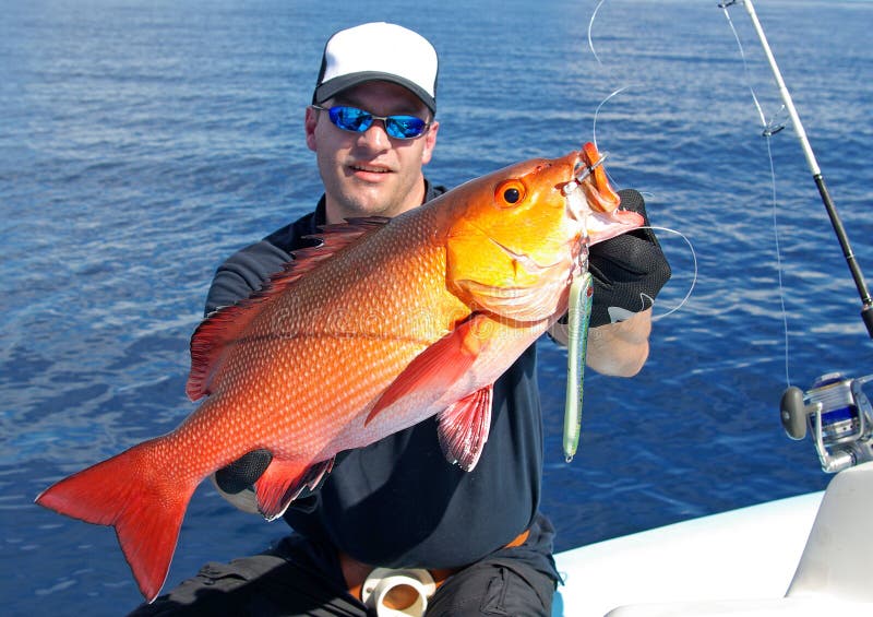 Pesca marittima profonda Dentice fotografia stock libera da diritti Pesca marittima profonda Dentice fotografia stock libera da diritti