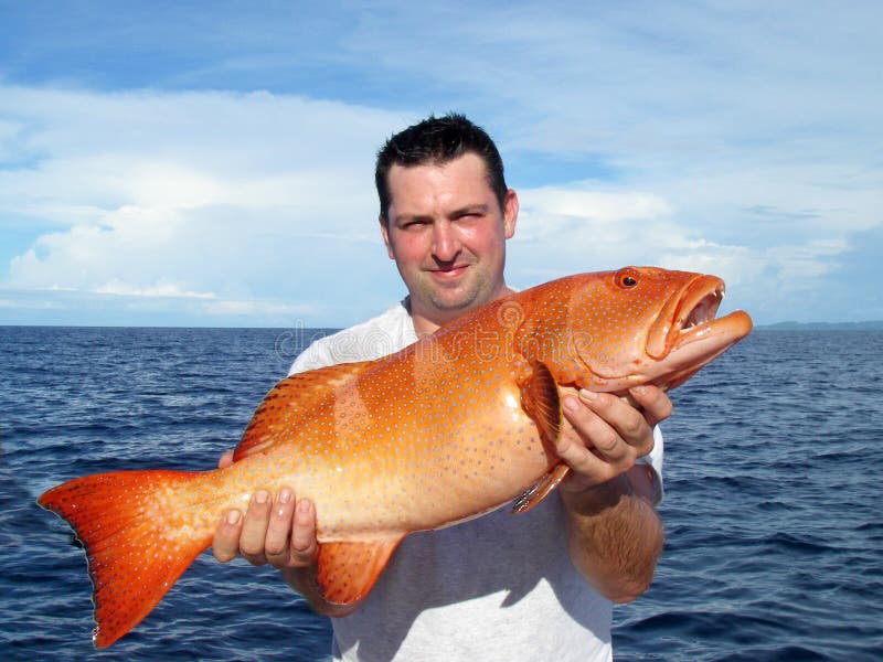 Acquista Poppers Per La Pesca Modernizzata - Foto 10