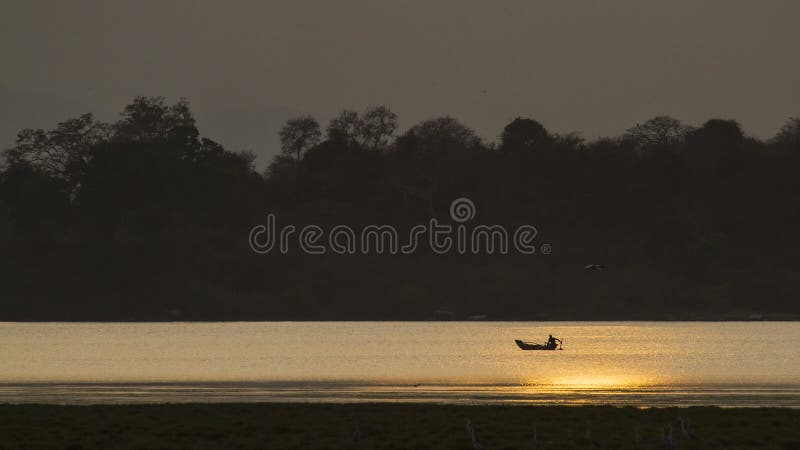 Pescador en la laguna de la bahía de Arugam, puesta del sol en la laguna, Sri Lanka foto de archivo libre de regalías Pescador en la laguna de la bahía de Arugam, puesta del sol en la laguna, Sri Lanka foto de archivo libre de regalías