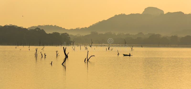 Pescador no lago do kandalama, dambulla, Sri Lanka foto de stock royalty free Pescador no lago do kandalama, dambulla, Sri Lanka foto de stock royalty free