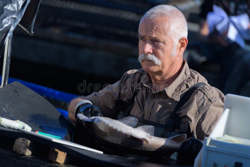Pescador superior que guarda peixes imagem de stock Pescador superior que guarda peixes imagem de stock