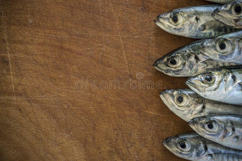 Raw fish (scad) over natural wood background.Close up. Raw fish (scad) over natural wood background.Close up