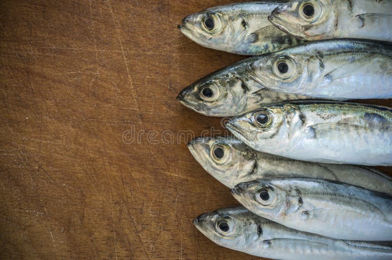 Raw fish (scad) over natural wood background.Close up. Raw fish (scad) over natural wood background.Close up