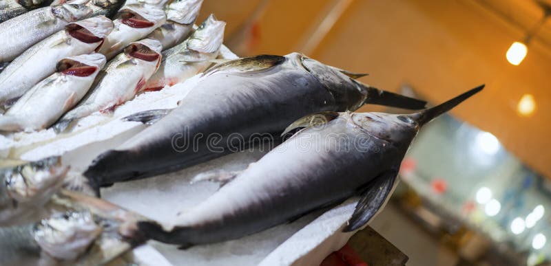 Pescados de espada frescos en el mercado de pescados imagen de archivo Pescados de espada frescos en el mercado de pescados imagen de archivo