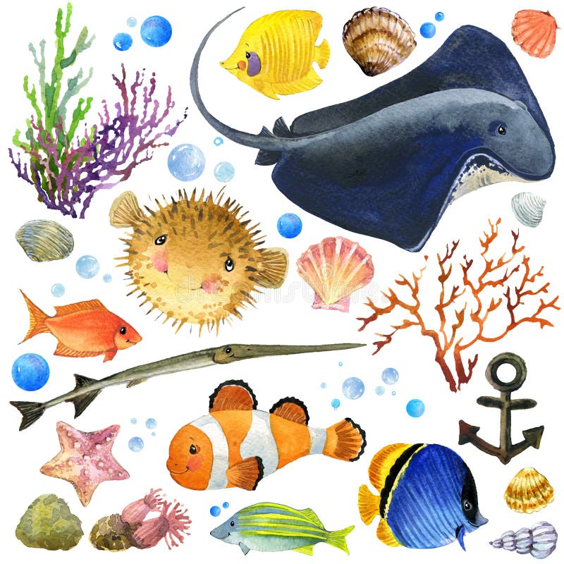 Pescados exóticos, arrecife de coral, algas, fauna inusual del mar, cáscaras del mar, libre illustration Pescados exóticos, arrecife de coral, algas, fauna inusual del mar, cáscaras del mar, libre illustration