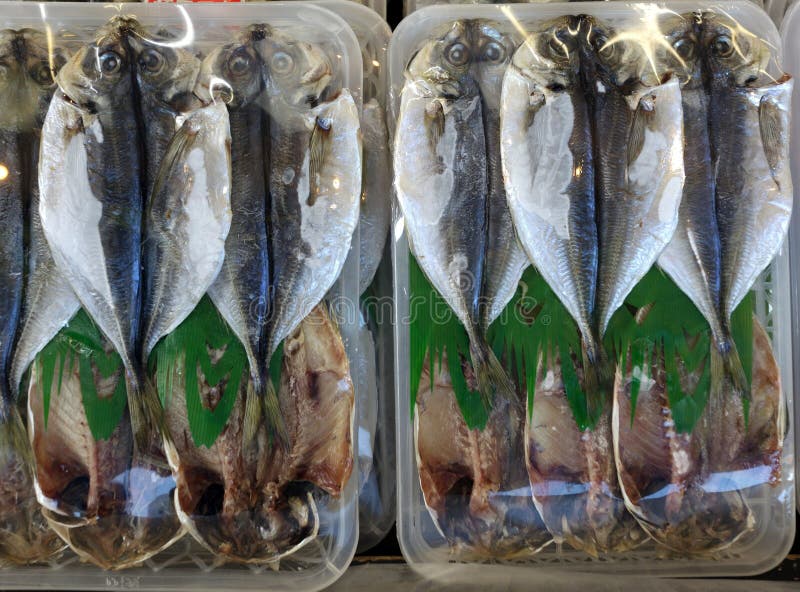 Pescados frescos pila de discos stock de ilustración