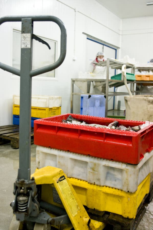 Pescados helados en la planta de tratamiento imágenes de archivo libres de regalías Pescados helados en la planta de tratamiento imágenes de archivo libres de regalías