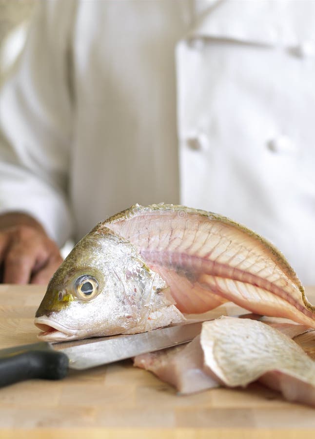Pescados que cortan imagen de archivo libre de regalías Pescados que cortan imagen de archivo libre de regalías