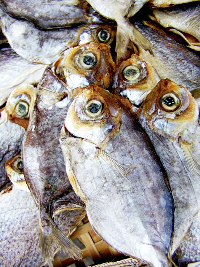 Pescados salados secados fotografía de archivo libre de regalías