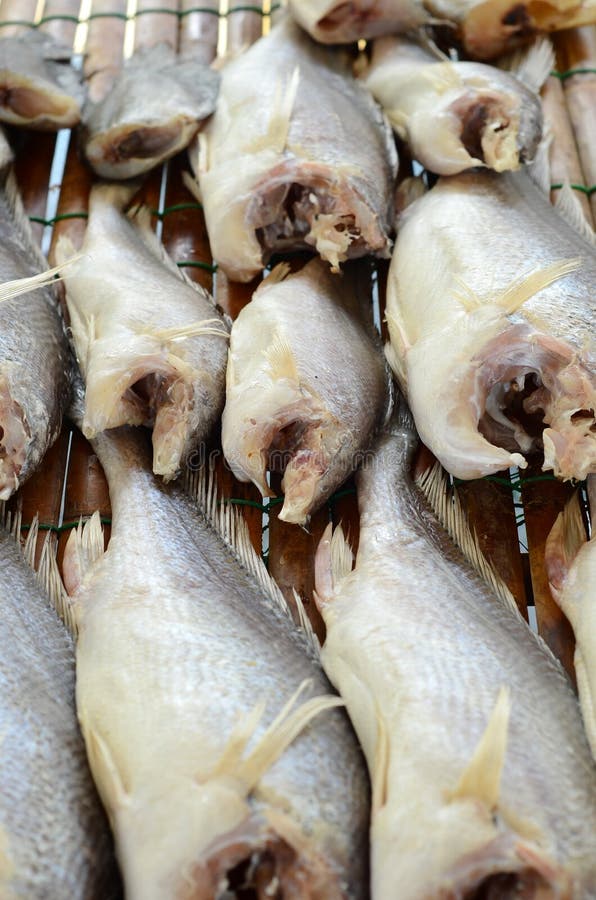 Pescados secados del pájaro de mal agüero de Sodier (microlepis de Boesemania) fotografía de archivo Pescados secados del pájaro de mal agüero de Sodier (microlepis de Boesemania) fotografía de archivo