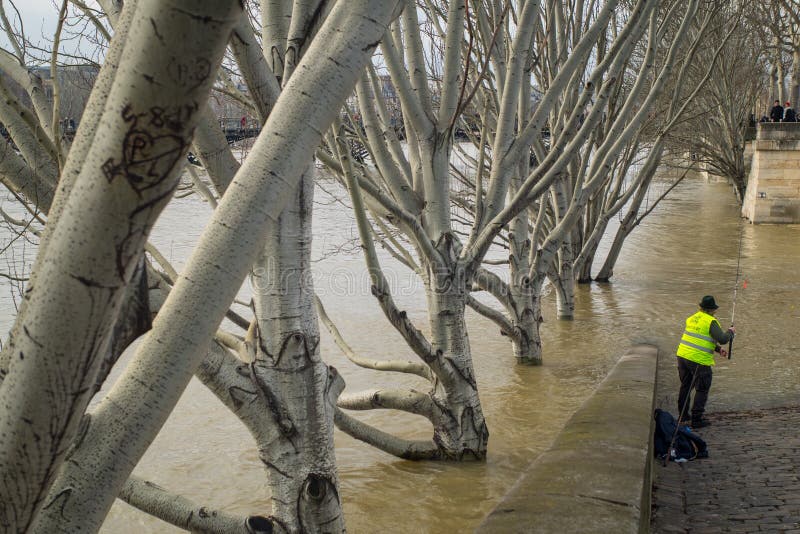 Pescando nos bancos inundados do rio Seine, Paris foto de stock Pescando nos bancos inundados do rio Seine, Paris foto de stock