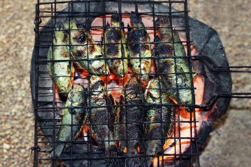 Pesce arrostito, stile tailandese dell'alimento cucinante il pesce rampicante grigliato del pesce persico sulla griglia sulla stu fotografia stock Pesce arrostito, stile tailandese dell'alimento cucinante il pesce rampicante grigliato del pesce persico sulla griglia sulla stu fotografia stock