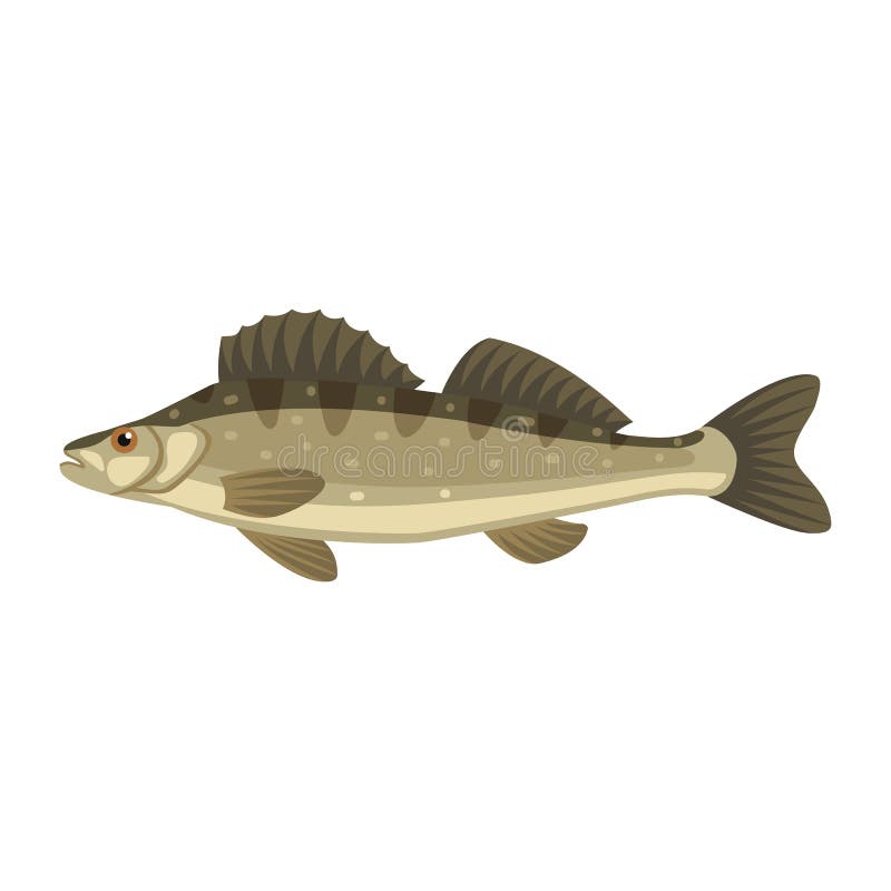 Ugelli Sabbiatura Per Idropulitrice - Set Da 4 | Fino A 5000 PSI - Foto 13