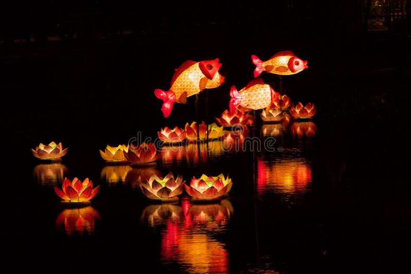 Pesce e Lotus Lanterns sul fiume fotografie stock Pesce e Lotus Lanterns sul fiume fotografie stock