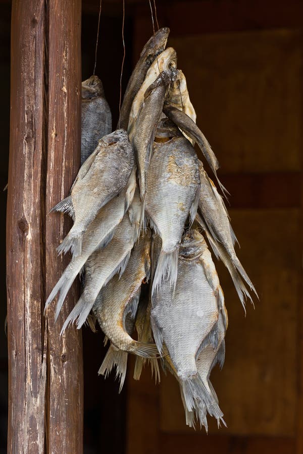 Pesce essiccato d'attaccatura immagine stock libera da diritti Pesce essiccato d'attaccatura immagine stock libera da diritti