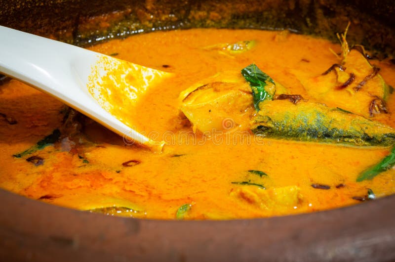 Closeup of Indian Mackeral Fish Curry in an earthen pot with a white ladle immersed in it. Closeup of Indian Mackeral Fish Curry in an earthen pot with a white ladle immersed in it