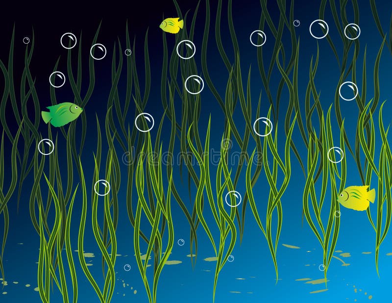 Водоросли под водой рисунок