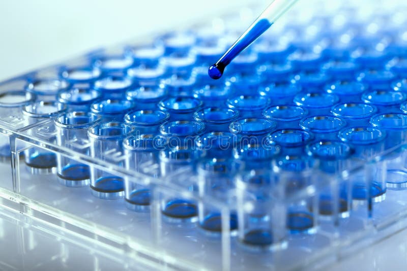 Scientist holding a 96 well plate with samples for biological analysis / Researcher pipetting samples of liquids in microplate for biomedical research. Scientist holding a 96 well plate with samples for biological analysis / Researcher pipetting samples of liquids in microplate for biomedical research