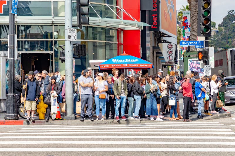 Sinal de hollywood boulevard blvd em um semáforo de luz