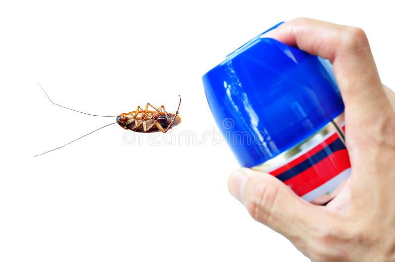 Pest Control stock image. Image of picture, white, push 20574239