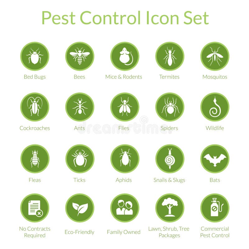 Vector set di icone con gli insetti come mosche, scarafaggi, cimici, ragni e termiti per aziende di controllo dei parassiti.