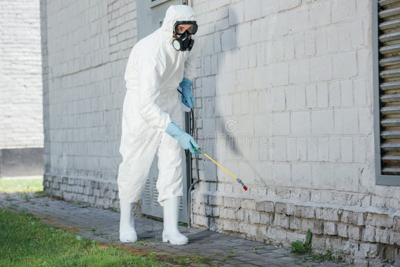 Pest Control Worker Spraying Chemicals with Sprayer Stock Photo Image