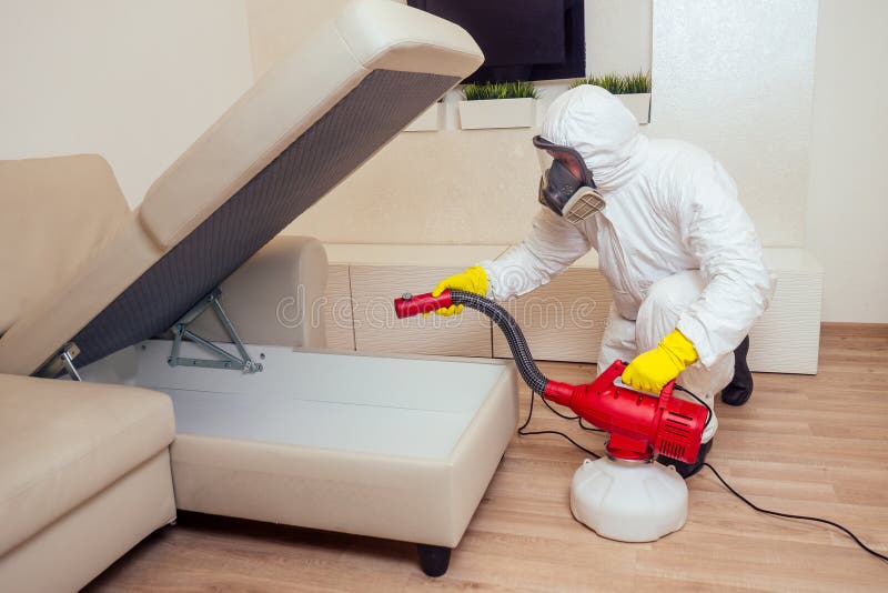 Pest control worker in uniform spraying pesticides under couch in living lounge room.