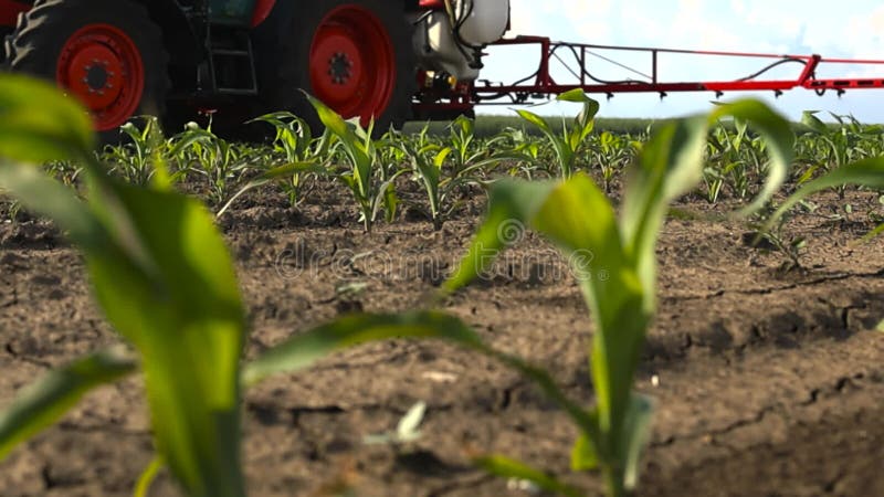 Pesticiden voor het sproeien van trekkers op maïsvelden