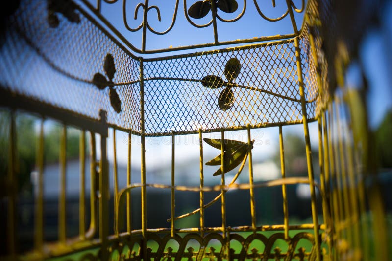 Un animale domestico uccelli prospettiva in una gabbia di metallo.