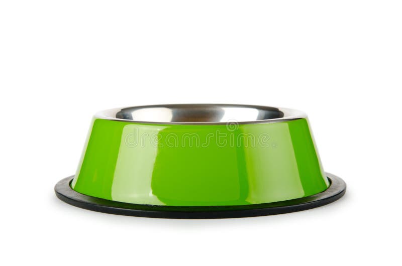 Download Pet bowl on the white stock image. Image of white, care - 22558487