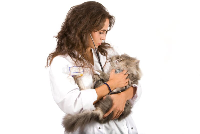 Pet doctor