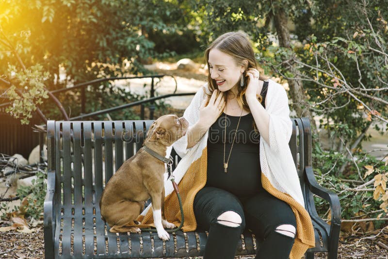 Pregnant Dog Owner Smiles at Her Small Dog on a Park Bench Happy Smile royalty free stock image Pregnant Dog Owner Smiles at Her Small Dog on a Park Bench Happy Smile royalty free stock image