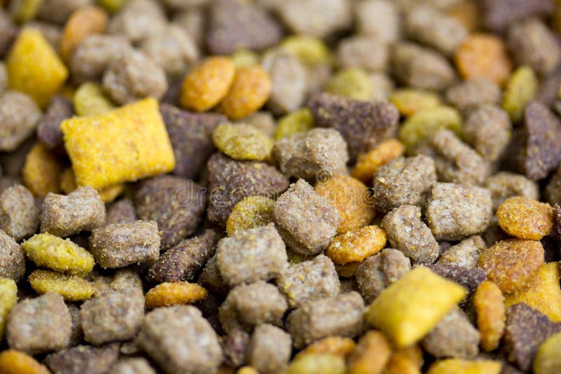 Cats (dogs) Food Detail Closeup Stock Photo Image of macro, food