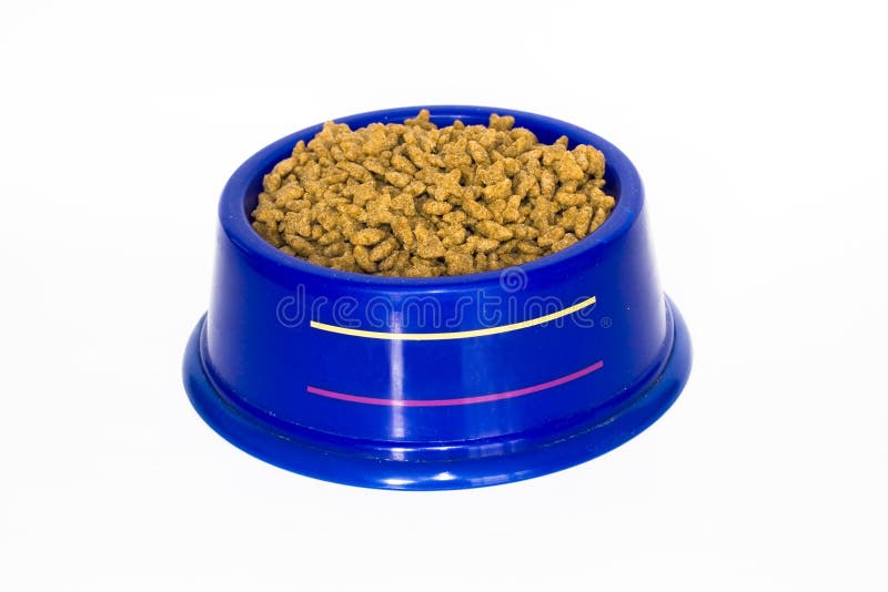 Pet food stock image. Image of heap, isolated, container 7462719