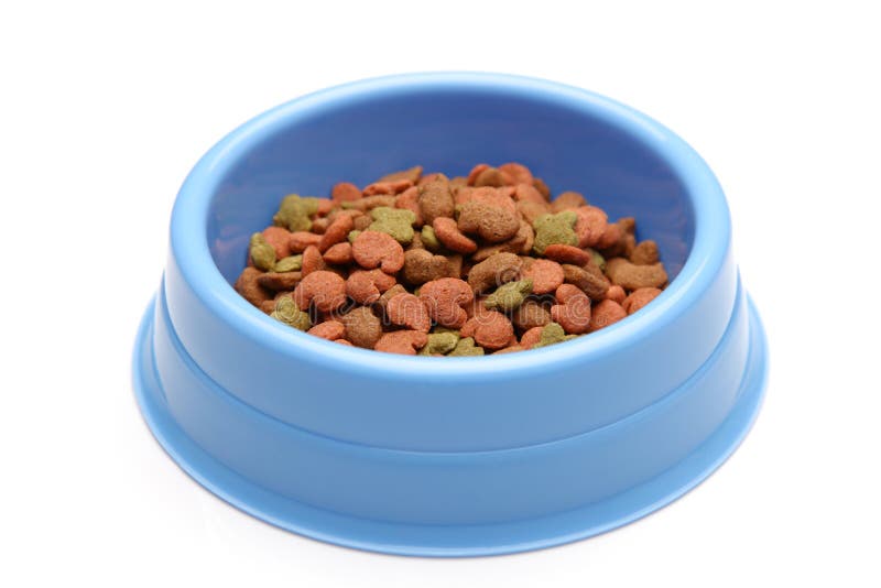 Pet food stock photo. Image of bowl, isolated, domestic 44511426