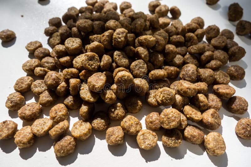 Pet Food Closeup Isolated on White Background Stock Image Image of