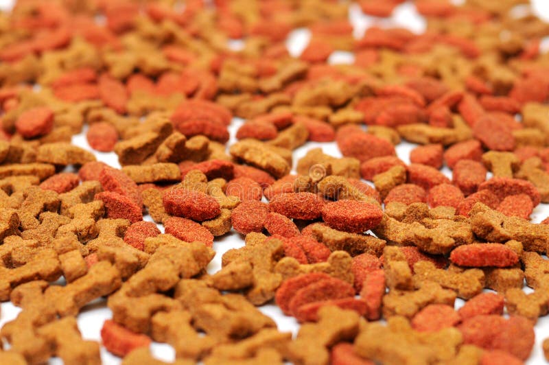 Pet food stock image. Image of pattern, meal, healthy 33230207
