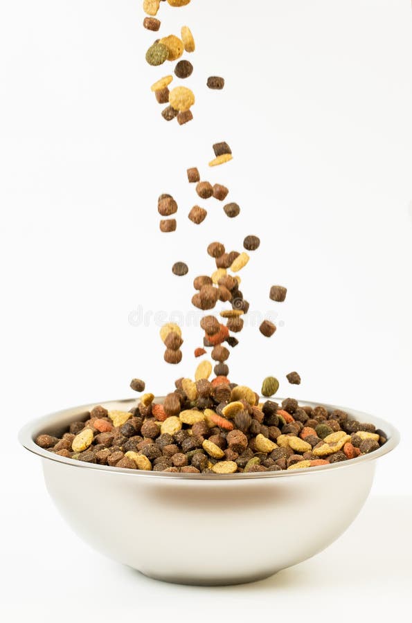 Pet food falls into the bowl for feeding