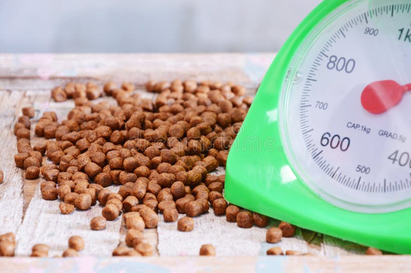 Pet Food and Green Weighting Scale Stock Photo Image of convenient