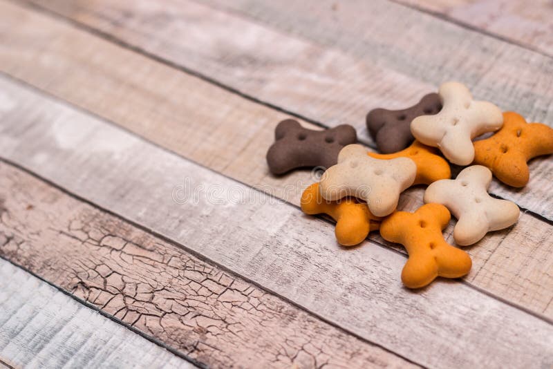 Pet food, snacks for dogs stock image. Image of animal 164009487