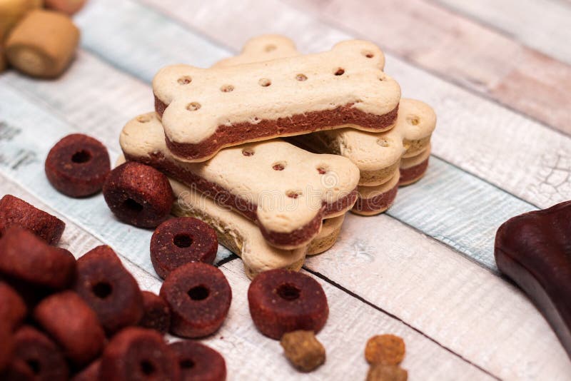 Pet food, snacks for dogs stock image. Image of canine 149741053