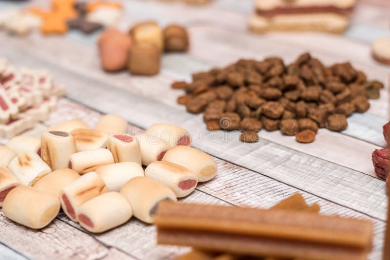 Pet food, snacks for dogs stock photo. Image of chewing 149741512