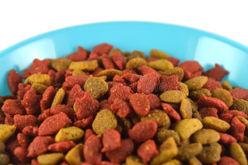 Pet food stock image. Image of food, bowl, kibble, flavor 69046009