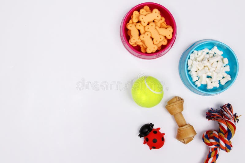 Pet gli accessori, l'alimento ed il giocattolo su fondo bianco Disposizione piana top fotografia stock libera da diritti Pet gli accessori, l'alimento ed il giocattolo su fondo bianco Disposizione piana top fotografia stock libera da diritti