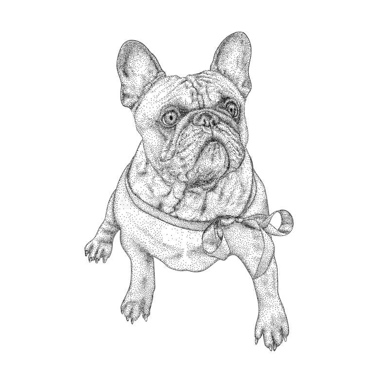 Pet Illustration of French Bulldog in Hand Draw Stipple Art Stock ...