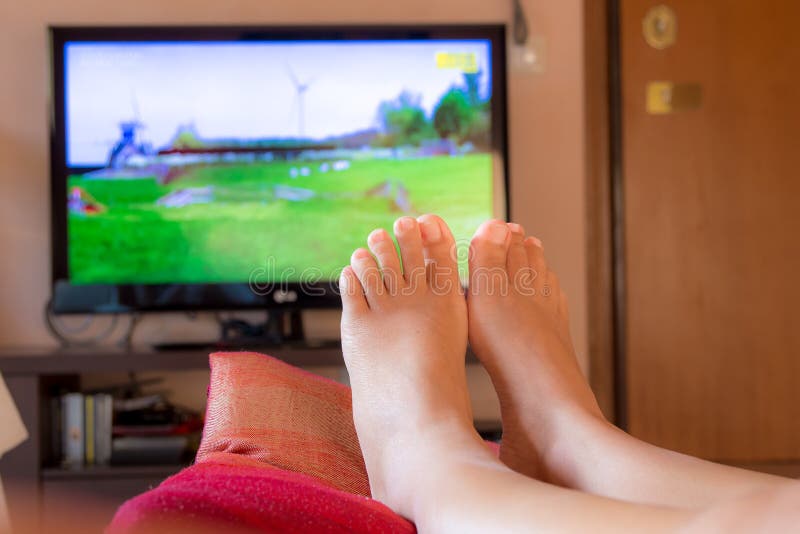 Gli animali futuri seduta sul divano accanto al proprietario, che guarda la TV.