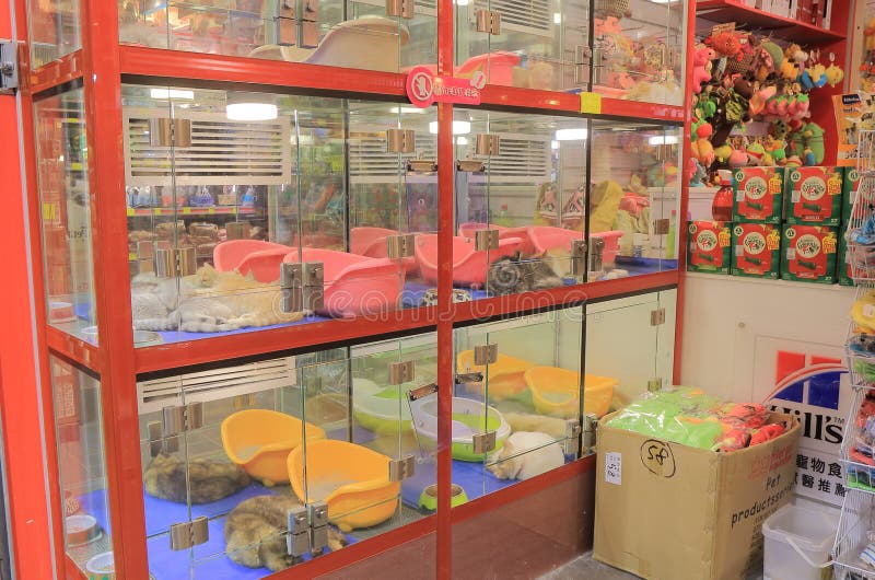 Interior of Department Store DLT in St. Petersburg, Russia during