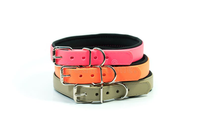 dog collar rubber